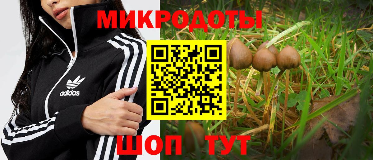 Красный Сулин  Псилоцибиновые грибы MAGIC MUSHROOMS  Вход с VPN 
